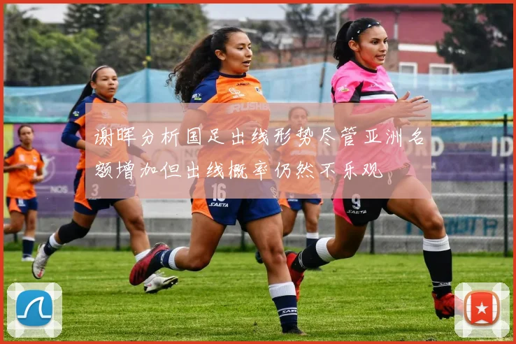 谢晖分析国足出线形势尽管亚洲名额增加但出线概率仍然不乐观