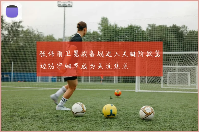 张伟丽卫冕战备战进入关键阶段笼边防守细节成为关注焦点